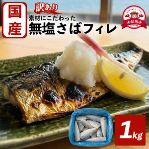 国産 訳あり 無塩 さばフィレ 1kg 冷凍