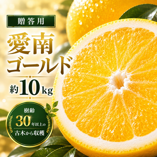先行予約 贈答用 愛南ゴールド(河内晩柑)約10kg みかん 蜜柑 河内晩柑 グレープフルーツ ギフト 贈答品 お祝い プレゼント 果実 ジュース ゼリー 正品 人気 果汁 さわやか 甘い 夏 デザート 柑橘 果物 フルーツ 前田ファーム 愛媛 愛南 [発送期間 3月下旬〜5月上旬 ](なくなり次第終了)