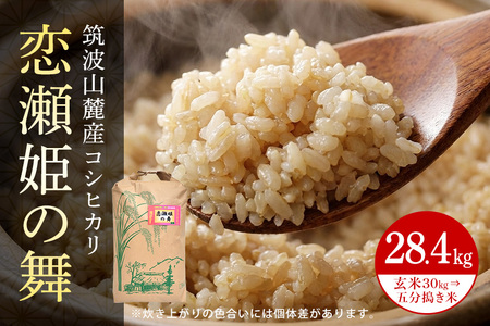【玄米30kg⇒五分搗き米】筑波山麓厳選米【特A】令和7年産コシヒカリ（恋瀬姫の舞） B07-035