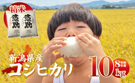 【先行予約】令和8年産 コシヒカリ 10kg コシヒカリ コシヒカリ kwsKH