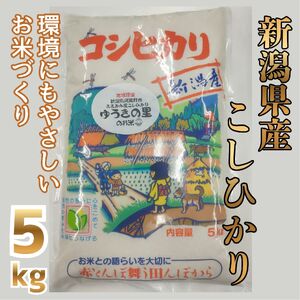 【令和8年産新米予約】阿賀野市 ささかみ産 こしひかり 「ゆうきの里のお米」 5kg 新潟コンバイン 白米 精米 新潟県 コシヒカリ コシ 米 お米 ごはん ご飯 新米 新米予約 令和８年度産 10月上旬より順次発送予定 3P03013