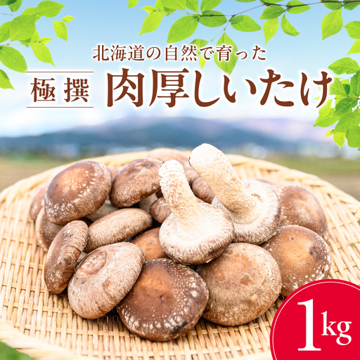 北海道の自然で育った 極撰 肉厚しいたけ1kg HOKBA001