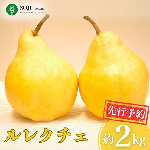 先行予約 ル レクチェ 約2kg 洋梨 JGAP認証農場 新潟県 三条市産 冬限定 三条果樹専門家集団
