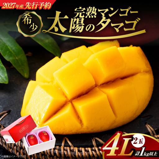 先行予約 完熟マンゴー 太陽のタマゴ 4L × 2玉 2027年産_IG5-25