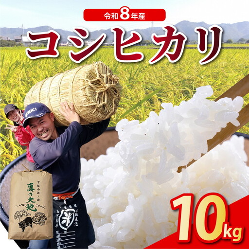 令和8年産 コシヒカリ 10kg 精米 白米