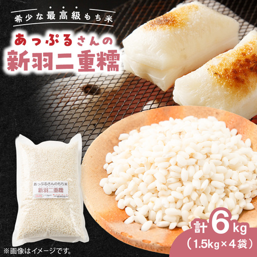 【京都府固有種・希少もち米】 新羽二重糯1.5kg×4袋 　冷めてもやわらかい、最高級のもち米【1713955】