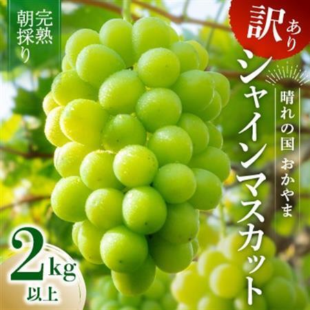 2026年発送【完熟朝採り】訳あり シャインマスカット 2.0kg以上【配送不可地域：離島】【1710152】