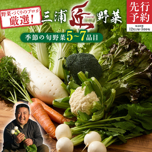 [ 先行予約 ] 三浦の 匠野菜 M127-001 野菜 季節の野菜 三浦かぶ
