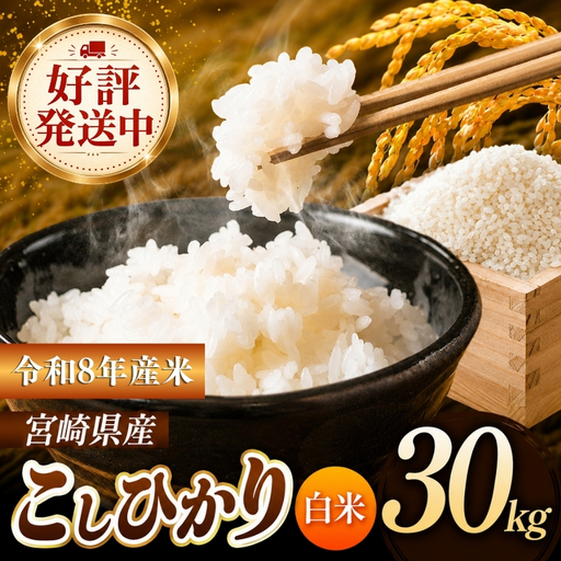 令和7年産 こしひかり 30kg ( 5kg × 6袋 ) ( 白米 ) 宮崎県産