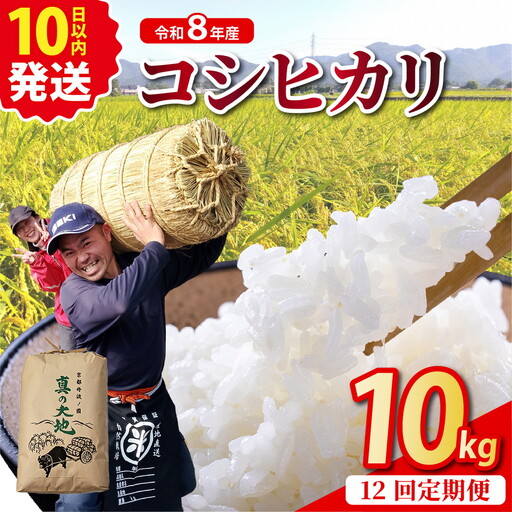 【12回定期便】令和8年産 コシヒカリ 10kg  定期便 精米 白米