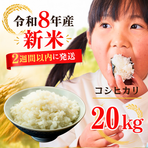 ５年連続完売のお米！ あわくら源流米 コシヒカリ 白米 20kg 令和８年産 新米 K-ak-AFDA