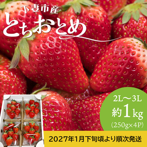 いちご とちおとめ 2L～3L 約1kg いちご 下妻市産 本州のみ配送
