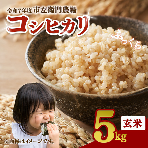 【玄米】令和7年産 コシヒカリ玄米 5kg 米