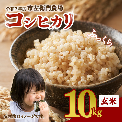 【玄米】令和7年産 コシヒカリ玄米 10kg 米