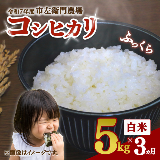 【定期便】米 令和7年産 コシヒカリ5kg×3回 こしひかり