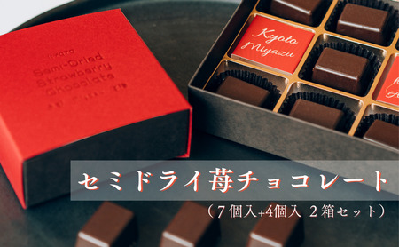 セミドライ苺チョコレート | お菓子 おかし セミドライ苺チョコレート