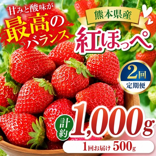 [2回定期便]いちご 紅ほっぺ 約1000g 坂田農園