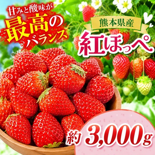 いちご 紅ほっぺ 約3000g 坂田農園