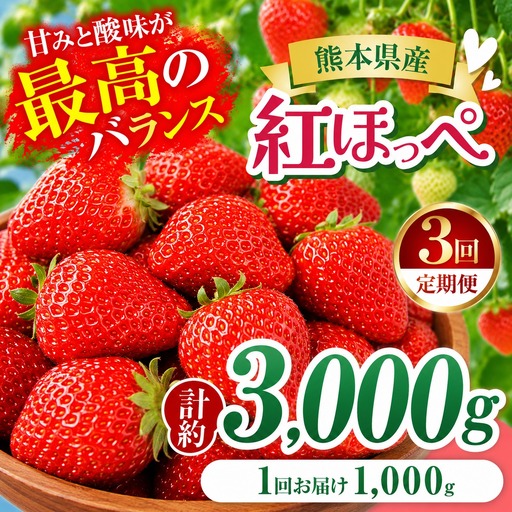 【3回定期便】いちご 紅ほっぺ 約3000g 坂田農園