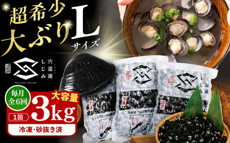 【全6回定期便】地元でも入手困難なレアサイズ！ Lサイズ 宍道湖産ヤマトシジミ(冷凍砂抜き済み)1kg×3袋(3kg) 島根県松江市/宍道湖漁業協同組合[ALAZ007]