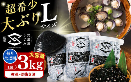 【全12回定期便】地元でも入手困難なレアサイズ！ Lサイズ 宍道湖産ヤマトシジミ(冷凍砂抜き済み)1kg×3袋(3kg) 島根県松江市/宍道湖漁業協同組合[ALAZ008]