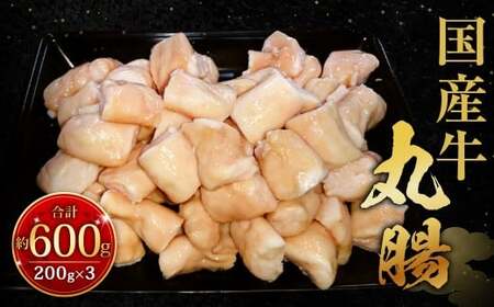 国産牛丸腸 約600g（市立食肉センター直送） 牛丸腸 丸腸 牛マルチョウ マルチョウ 牛肉 肉 ホルモン 牛ホルモン 冷凍 福岡県 北九州市