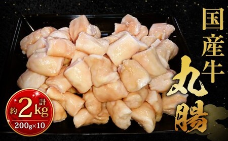 国産牛丸腸 約2kg（市立食肉センター直送） 牛丸腸 丸腸 牛マルチョウ マルチョウ 牛肉 肉 ホルモン 牛ホルモン 冷凍 福岡県 北九州市