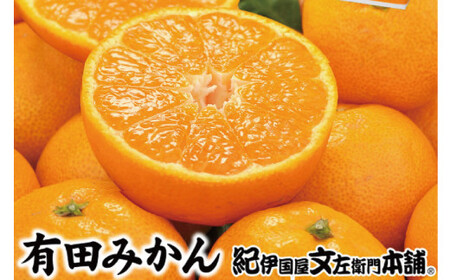 [予約受付]ブランド有田みかん 秀品 約2.8kg/サイズお任せ ※2026年10月中旬〜2027年1月中旬頃に順次発送予定(お届け日指定不可) 紀伊国屋文左衛門本舗[kstb144]