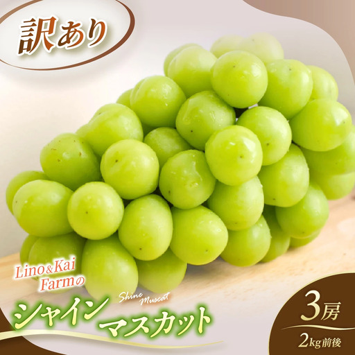 【2026年先行予約】 【訳あり】 Lino＆Kai Farmのシャインマスカット 3房前後(2kg前後）化粧箱入 【linokai013-01】