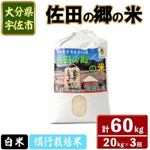 ＜令和7年産＞＜定期便・総３回＞佐田の郷の米 慣行栽培米(計60kg) お米 白米 ごはん ヒノヒカリ ひのひかり ブランド米 常温 常温保存【211700400】【雅設置プロジェクト　佐田の郷の会】