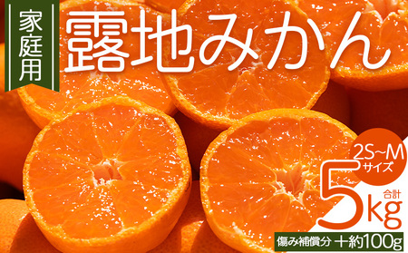 【訳あり】家庭用露地みかん 約5kg ミカン蜜柑 先行受付 om-0003