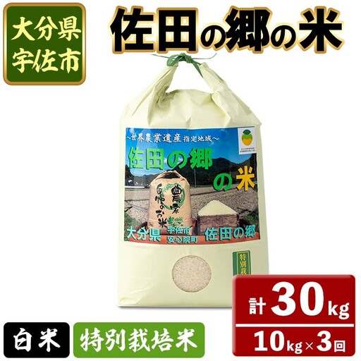 ＜定期便・総３回＞＜令和7年産＞佐田の郷の米 特別栽培米(計30kg)お米 白米 ごはん ヒノヒカリ ひのひかり ブランド米 常温 常温保存【211700800】【雅設置プロジェクト　佐田の郷の会】