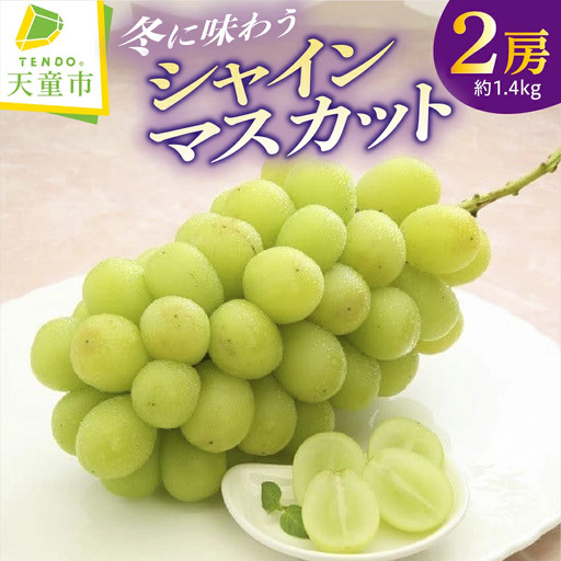 ぶどう 冬 に味わう シャインマスカット 約1.4kg ブドウ