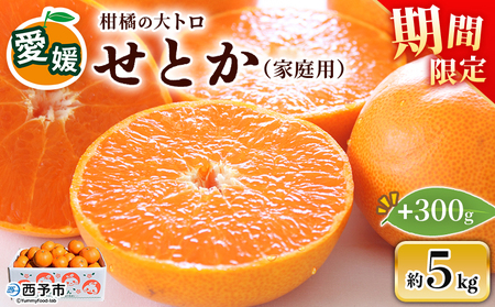 ＜せとか（家庭用）約5kg＋300g＞ 自宅用 訳あり ワケアリ 果物 くだもの フルーツ ミカン みかん セトカ 蜜柑 高級柑橘 柑橘の大トロ 柑橘 特産品 笑丸 愛媛県 西予市 常温『2027年3月上旬～4月上旬頃に順次出荷予定』AAN0088