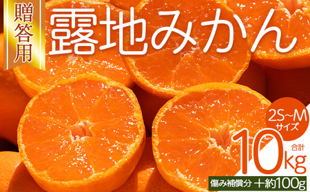 【贈答用】露地みかん 約10kg 小玉ミカン 先行受付 om-0006