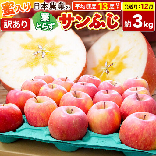 りんご 葉とらずサンふじ 訳あり 約3kg[12月発送]りんご