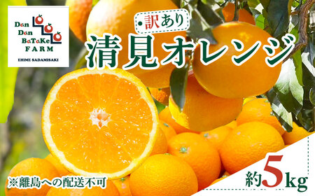 [先行予約][訳あり]清見オレンジ 約5kg ※2027年3月中旬より順次発送予定 IK