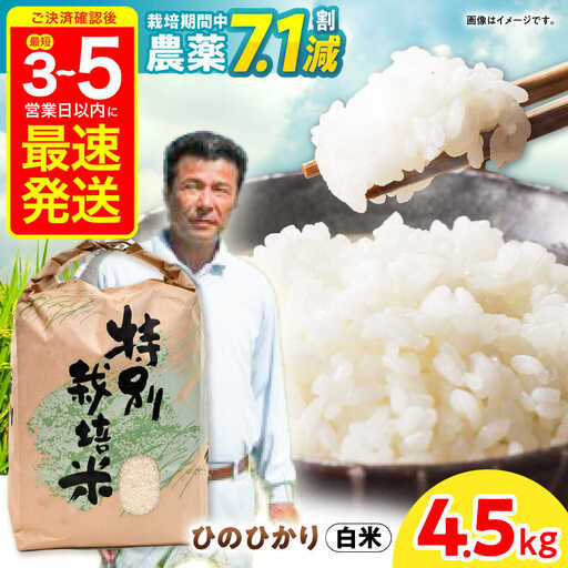 【R7年産】九州のこだわり「ひのひかり」白米 4.5kg / 米 こめ コメ お米 おこめ 白米 精米 白ご飯 ひのひかり ヒノヒカリ 長崎県産 / 諫早市 / 上島農産[AHAS014]