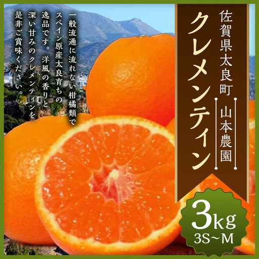 山本農園のクレメンティン 3kg [2027年1月下旬〜3月上旬] クレメンティン みかん 柑橘 国産 オレンジ マンダリン 希少 ジューシー くだもの 果物 フルーツ 新鮮 贈り物 ギフト 佐賀県 太良町 L41x2