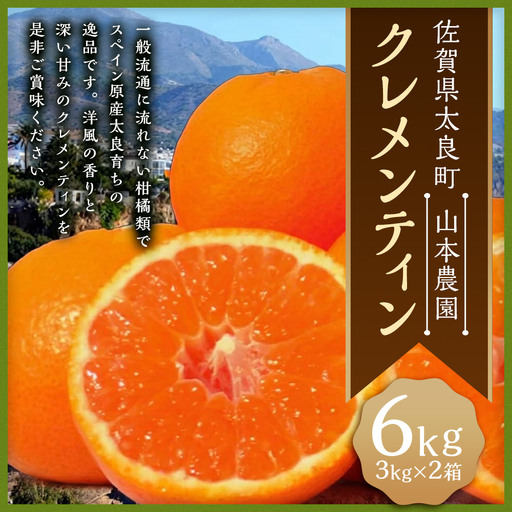 山本農園のクレメンティン 6kg (3kg × 2箱) [2027年1月下旬-3月上旬] クレメンティン 希少 ヨーロッパ生まれ スペイン原産 太良みかん みかん ミカン 蜜柑 フルーツ くだもの 果物 太良町 国産 甘い 美味しい 佐賀県 太良町 NC9x2