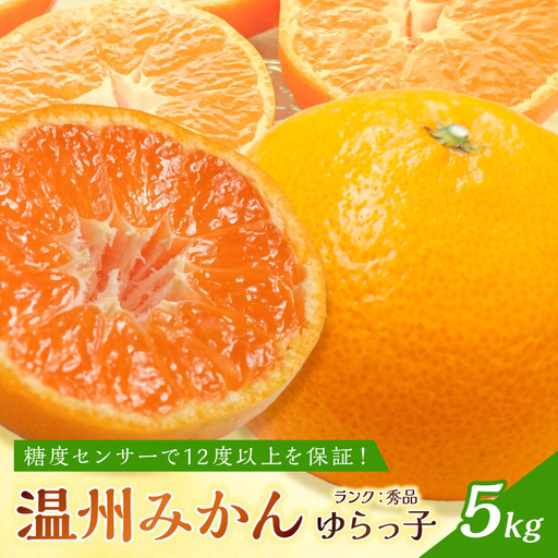 御坊市・日高川町・由良町産 温州みかん（ゆらっ子）5kg《先行予約》【0553-3】