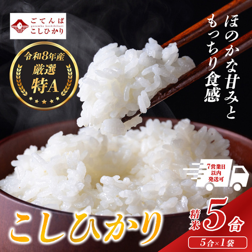 【先行予約】コシヒカリ 5合 令和8年産 精米 コシヒカリ