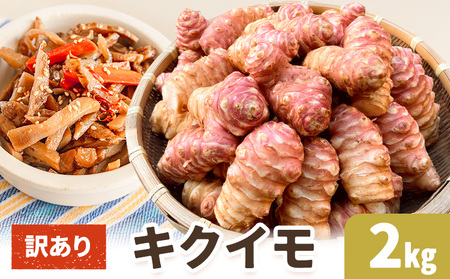 訳あり キクイモ 約2kg[配送不可地域あり]キクイモ