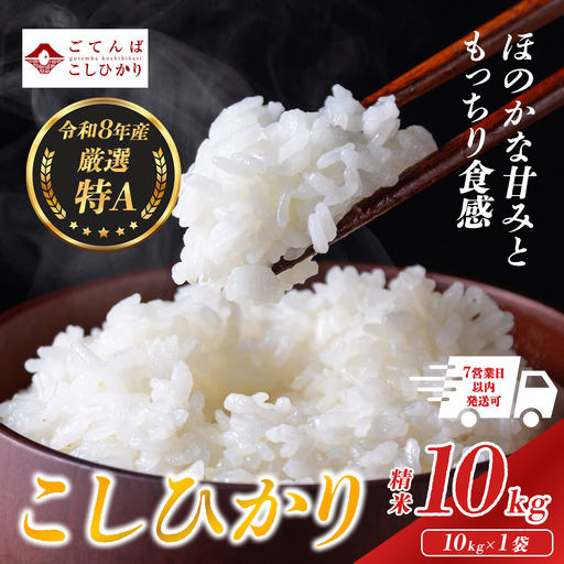 【先行予約】コシヒカリ 10㎏ 令和8年産 精米 コシヒカリ