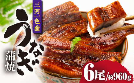 三河一色産うなぎ蒲焼 6尾（約960g）・O070