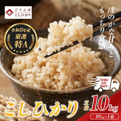 【先行予約】コシヒカリ 玄米 10㎏ 令和8年産 玄米コシヒカリ