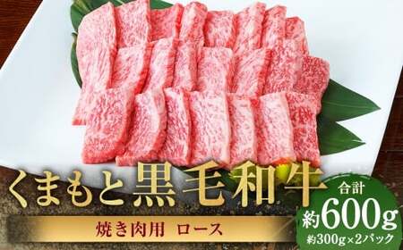 くまもと黒毛和牛 焼き肉用ロース 計約600g（約300g×2パック） 黒毛和牛 和牛 牛肉 牛 肉 にく ニク お肉 焼肉 焼き肉 ロース 黒毛和牛 和牛 牛肉 牛 肉 にく ニク お肉 焼肉 焼き肉 ロース