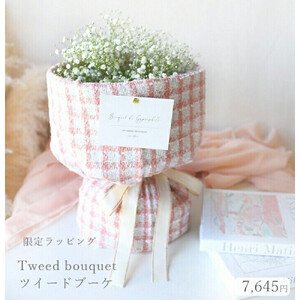かすみそう「ツイードブーケ」 かすみ草 カスミソウ 花束(小さいサイズ) [ カスミソウ ブーケ 花 花束 花ギフト ]