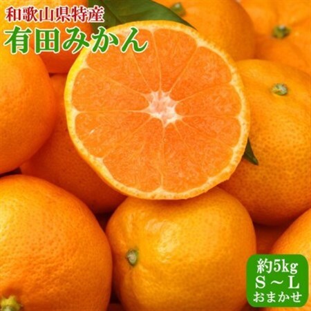 紀州有田みかん約5kg(S～Lサイズおまかせ)(日高町)【1711633】