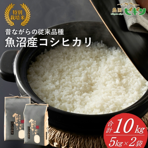 【令和7年】 昔ながらの魚沼産コシヒカリ 精米10kg(5キロ×2) 従来品種 農園ビギン | おこめ 特A評価 小千谷市 コシヒカリ